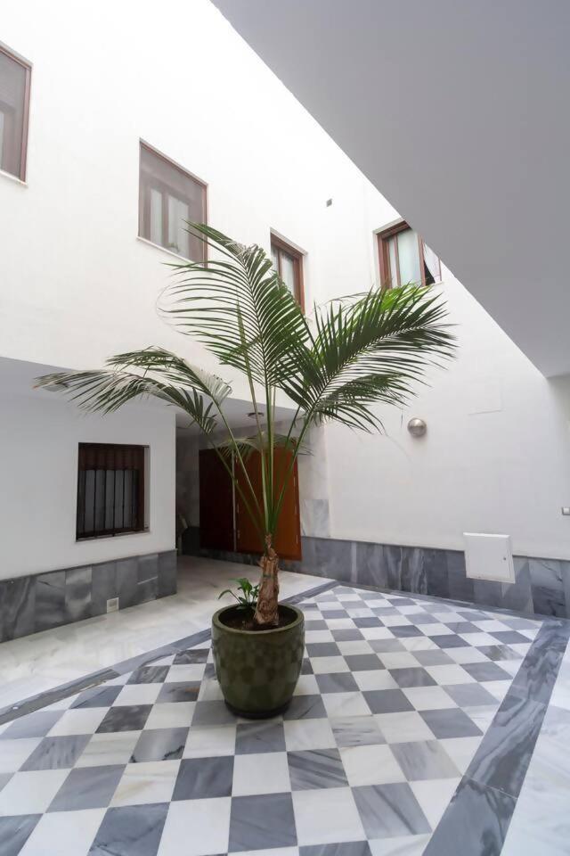 Sh Pilucas Home Moderno Apartamento Con Patio Cádiz Exterior foto